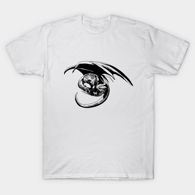 Dragon and Dog T-Shirt by HybridFiction